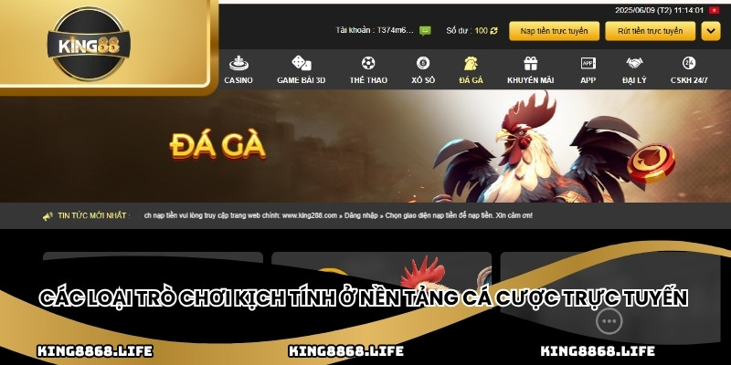 Các loại trò chơi kịch tính ở nền tảng cá cược trực tuyến
