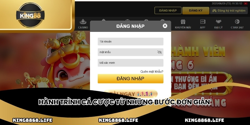 Hành trình cá cược từ những bước đơn giản
