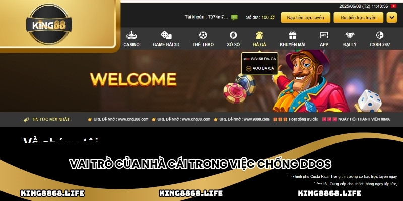 Vai trò của nhà cái trong việc chống DDOS