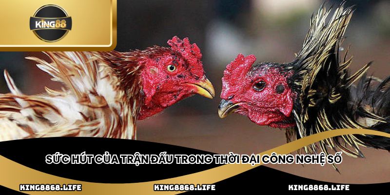 Sức hút của trận đấu trong thời đại công nghệ số