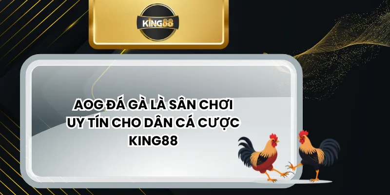AOG Đá Gà Là Sân Chơi Uy Tín Cho Dân Cá Cược KING88