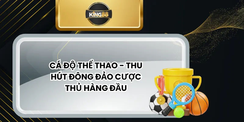 Cá Độ Thể Thao - Thu Hút Đông Đảo Cược Thủ Hàng Đầu