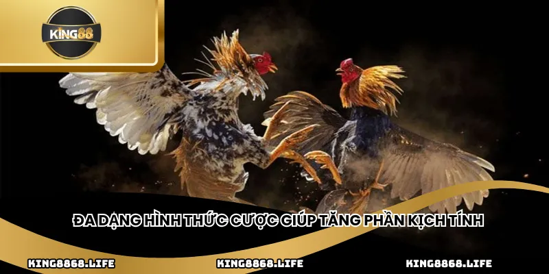 Đa dạng hình thức cược giúp tăng phần kịch tính