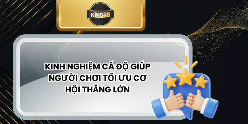 Kinh Nghiệm Cá Độ Giúp Người Chơi Tối Ưu Cơ Hội Thắng Lớn