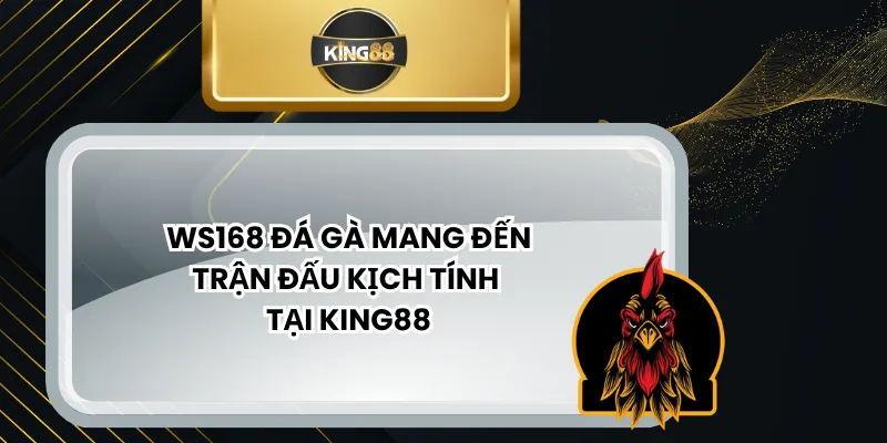WS168 Đá Gà Mang Đến Trận Đấu Kịch Tính Tại KING88